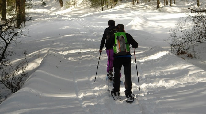 Curso Evolutivo de Montaña Valle de Valsain 2/03/2016