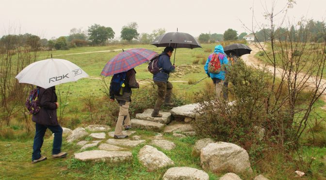 RUTA CIRCULAR (Hoyo de manzanares)
