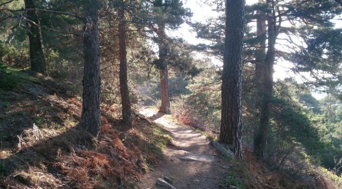 Ruta por la Barranca – Navacerrada
