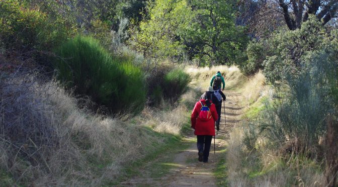 RUTA LA ALMENARA (1.259mts)