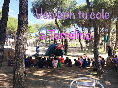Ven con tu colegio a Aventura Torrelino