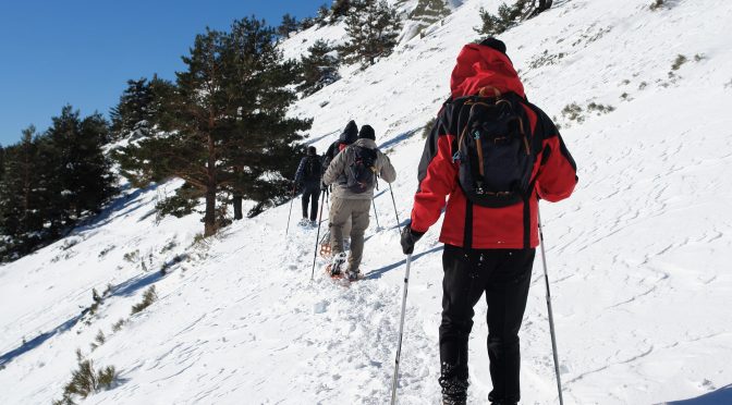 SALIDAS CON RAQUETAS DE NIEVE con TORRELINO