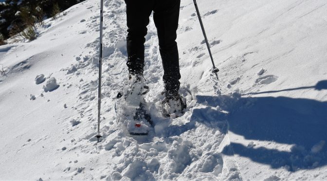 ❄️Excursión con Raquetas de nieve❄️