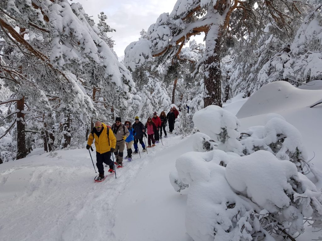 raquetas de nieve en Madrid
